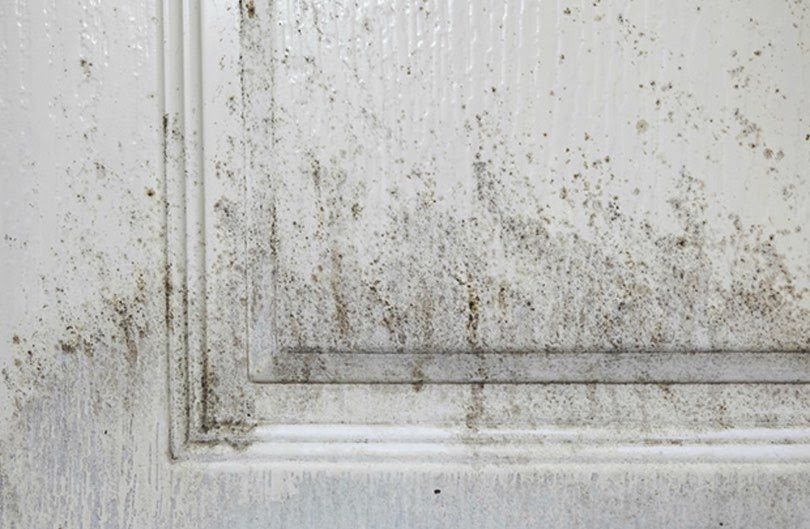 Mould growth on door in house